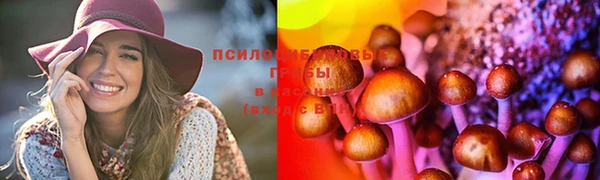 MESCALINE Богородицк
