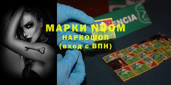 индика Белокуриха