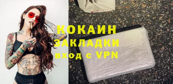 кокс Гусев