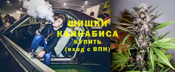 индика Белокуриха
